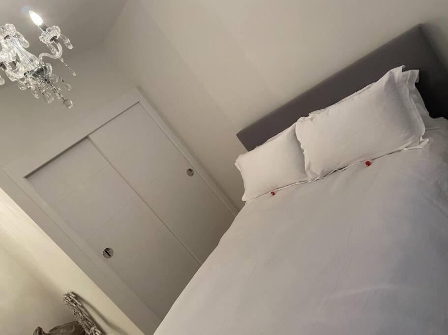 Unrivalled Location - Five Star - Worcester Apartment מראה חיצוני תמונה