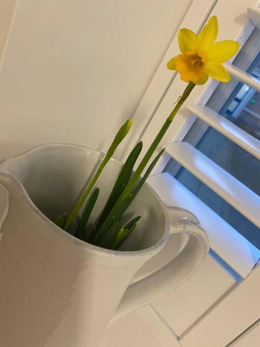 Unrivalled Location - Five Star - Worcester Apartment מראה חיצוני תמונה